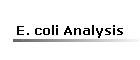 E. coli Analysis